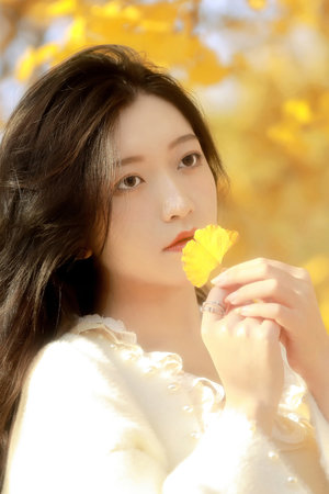 总裁的私有宝贝下载