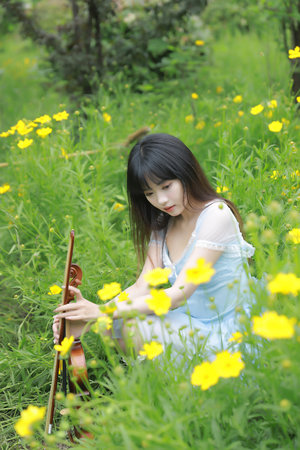 清心书卷哪里买