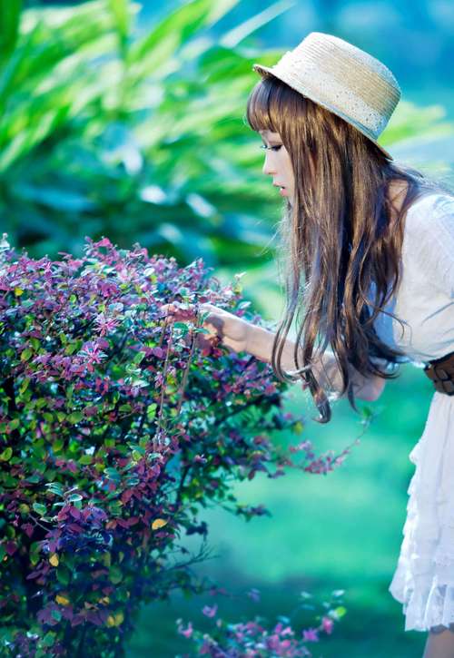 聊斋奇谭在线观看