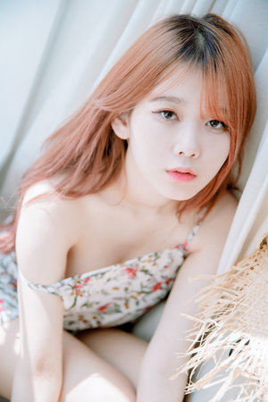 日韩视频一区一道免费