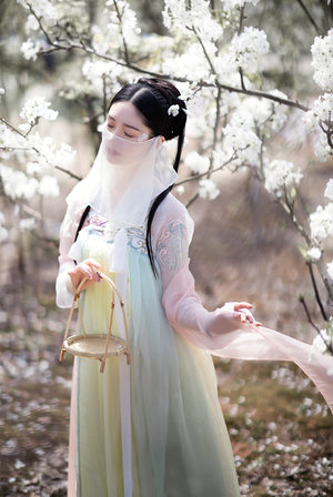 叶子楣电影90版聊斋