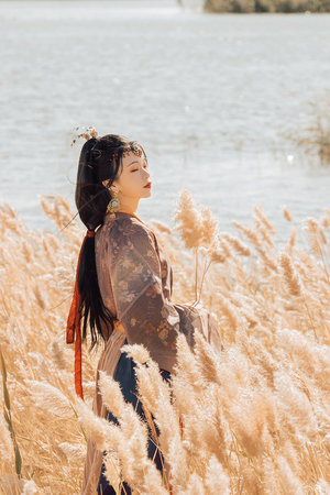 久久精品动漫99精品动漫