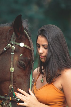 假面骑士极狐全集免费观看