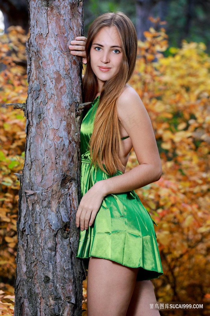 婚前试爱免费观看