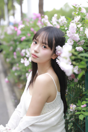 樱花草在线观看免费看片