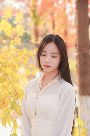 纤细的爱动漫全集在线看免费