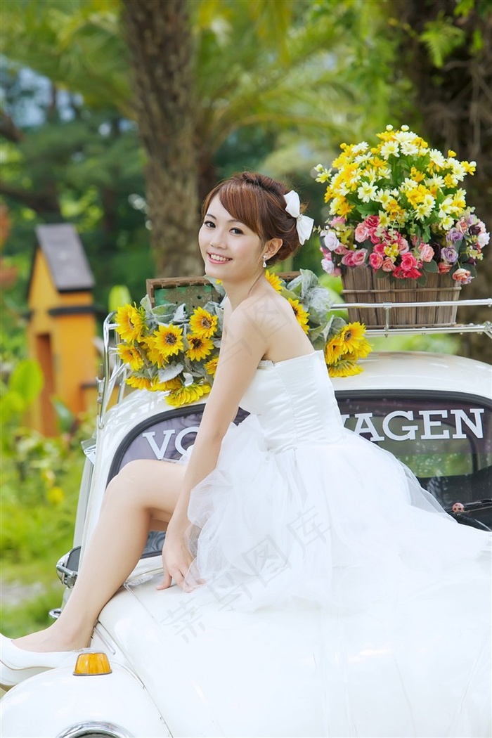 大地二中文在线观看免费星空