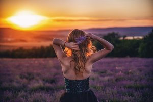 星光电影在线观看免费播放