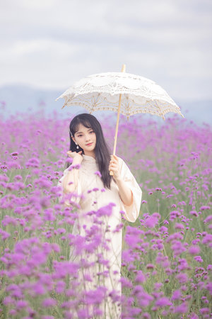 您好母亲大人电视剧免费观看